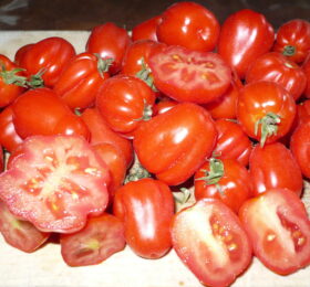 Tomate Cherry Accordéon