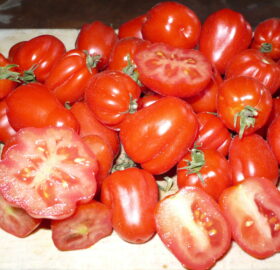 Tomate Cherry Accordéon