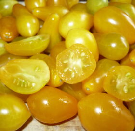 Tomate Ildi Gold