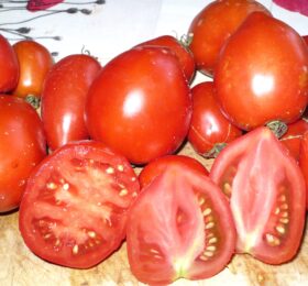 Tomate Dwarf Red Heart :
